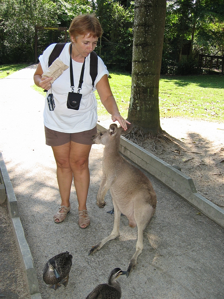 254 Wildlife Habitat Port Douglas.jpg